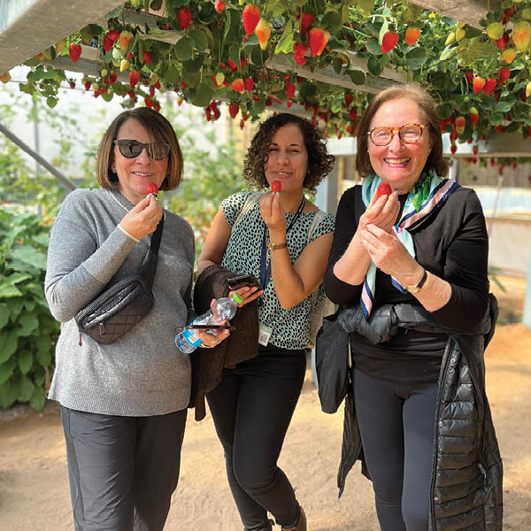 Celebrating 20 years of Jewish National Fund-USA’s Women’s Mission to Israel