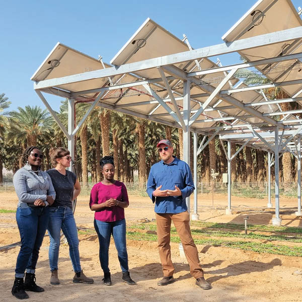 Seeing the Forest Beyond the Trees