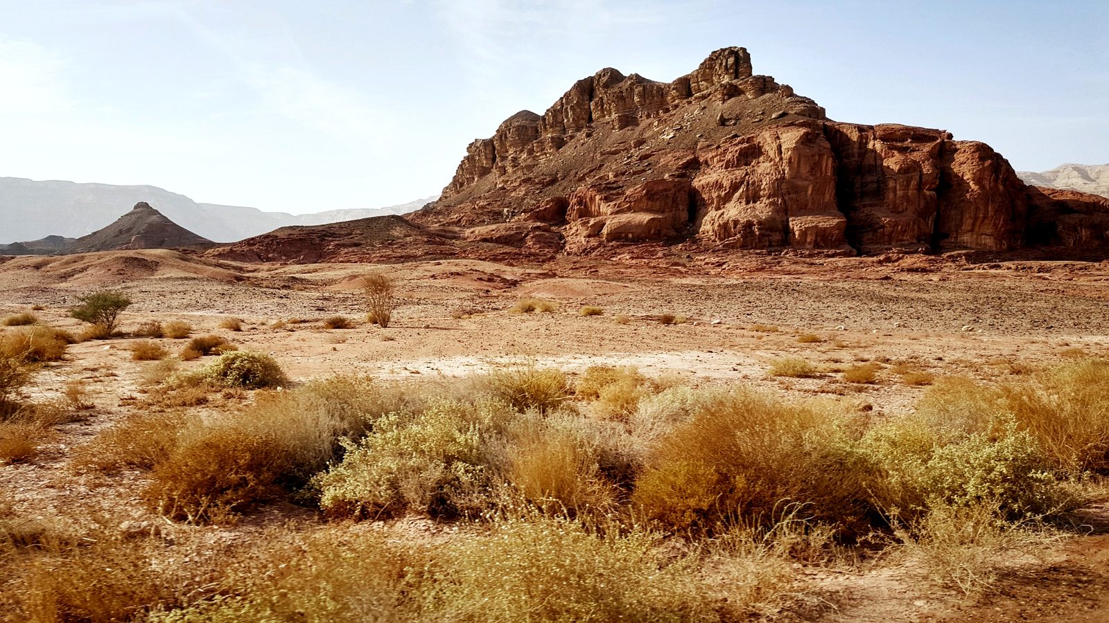 Site in Focus: Timna Park