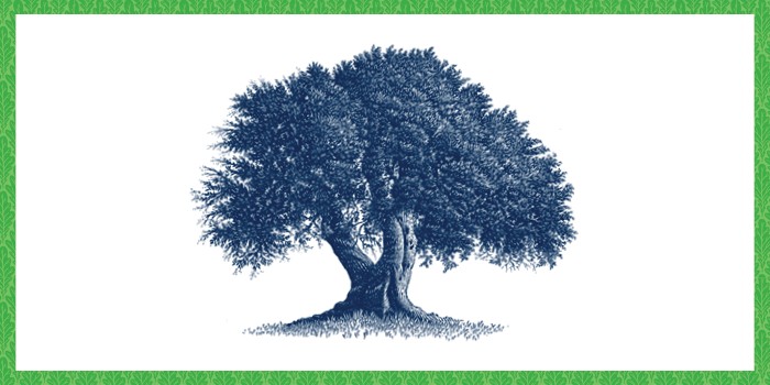 Three Cincinnati Philanthropists Named Jewish National Fund-USA Tree of ...