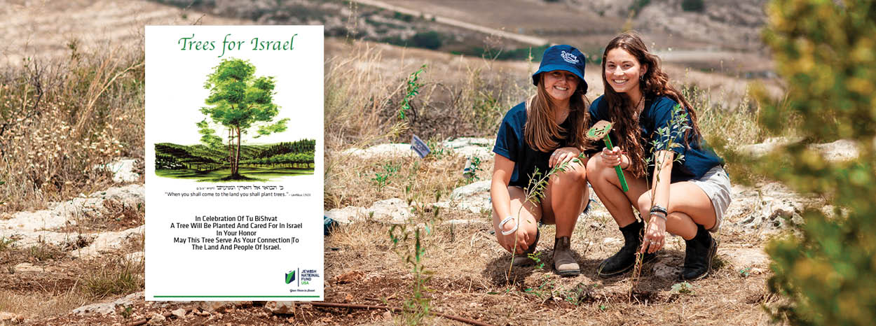 Tu BiShvat in the Schools 2026