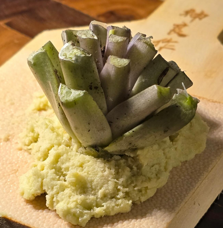 wasabi