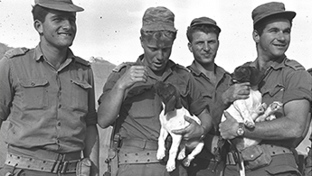 ANewEra_JNF_345x195
