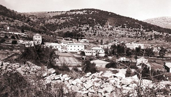 FirstPurchases_JNF_345x195
