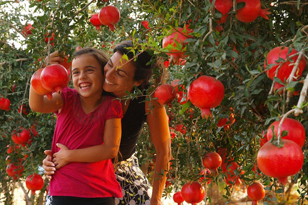 Mother Daughter with Pomegranates