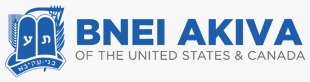 Bnei Akiva logo