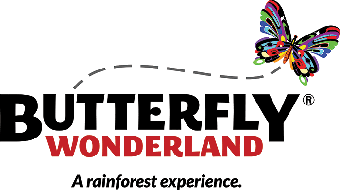 Butterfly-wonderland