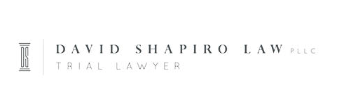 david_shapiro