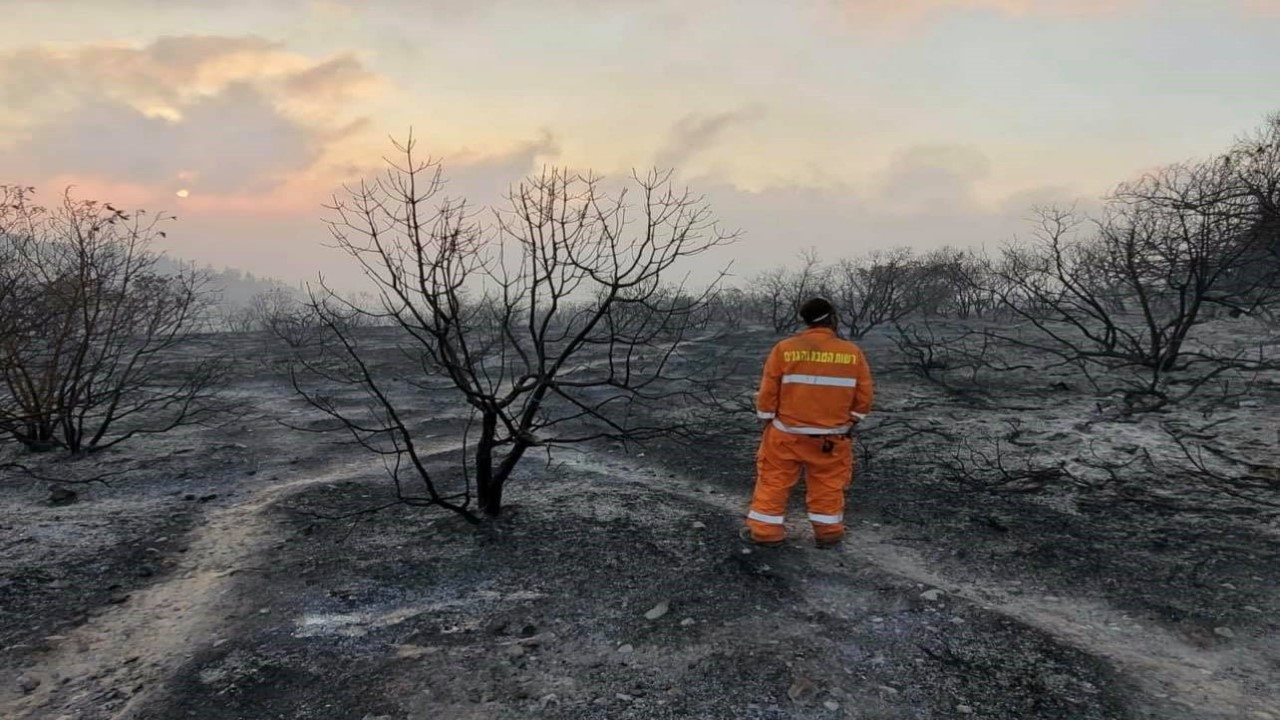 Firefighter surveys damage from wildfire near Jerusalem