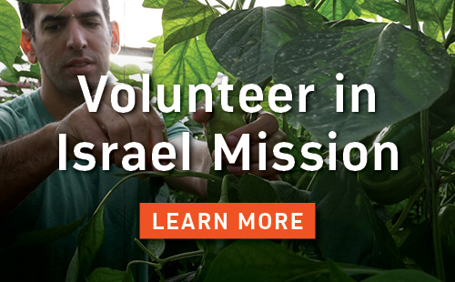 Volunteer for Israel