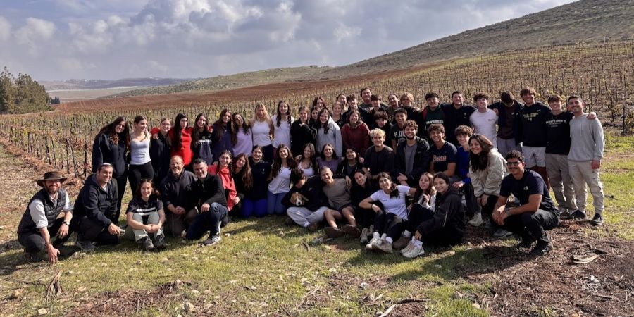 Featured blog image - One Final Hike