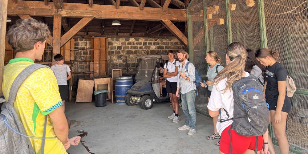 Featured blog image - Examining the Rise of Nazism