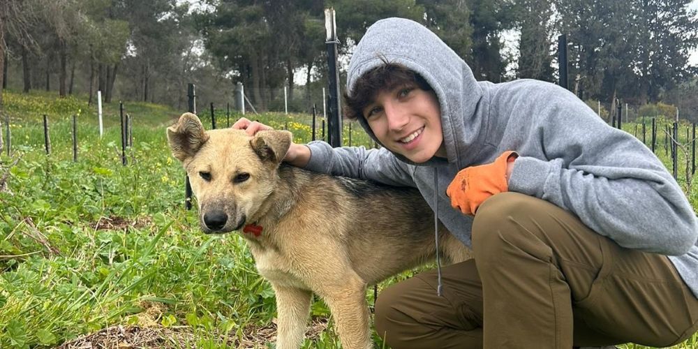 Featured blog image - Remembering the Holocaust